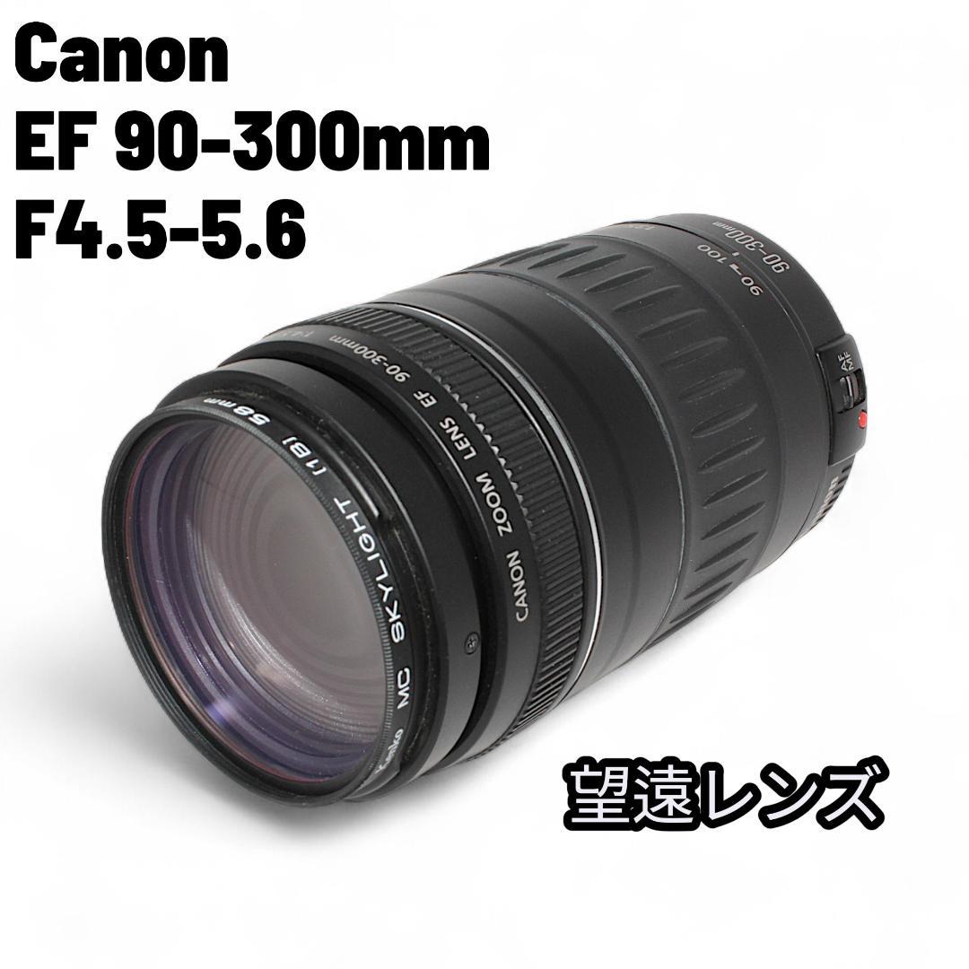 [美品] Canon EF 90-300mm F4.5-5.6 超望遠レンズ