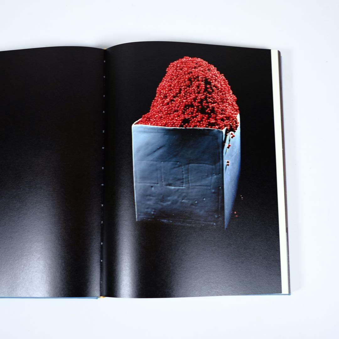 魔の山】中川幸夫 作品集 求龍堂 写真集 花道 極希少本 稀覯本 - メルカリ