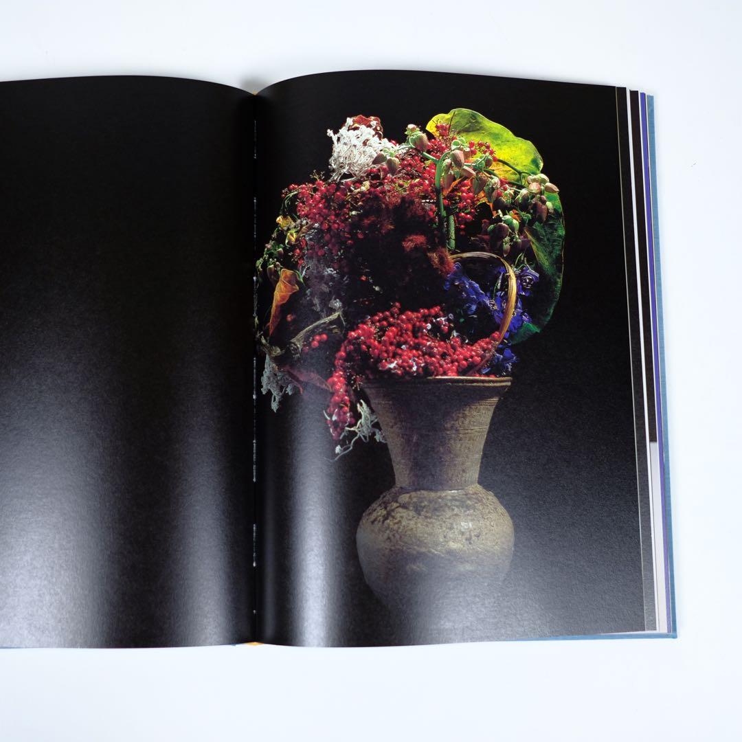 魔の山】中川幸夫 作品集 求龍堂 写真集 花道 極希少本 稀覯本 - メルカリ