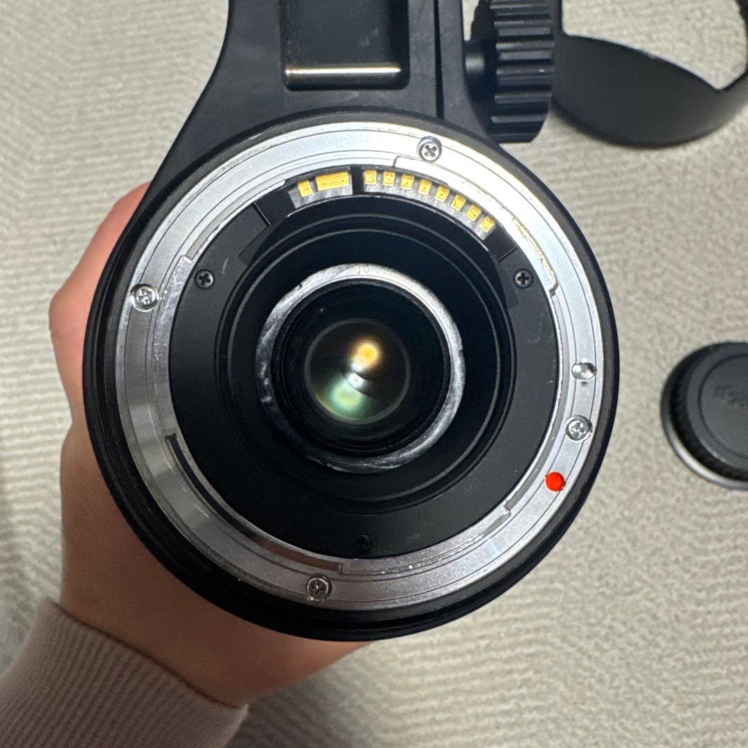 SIGMA 50-500mm F4.5-6.3 APO HSM キャノン用