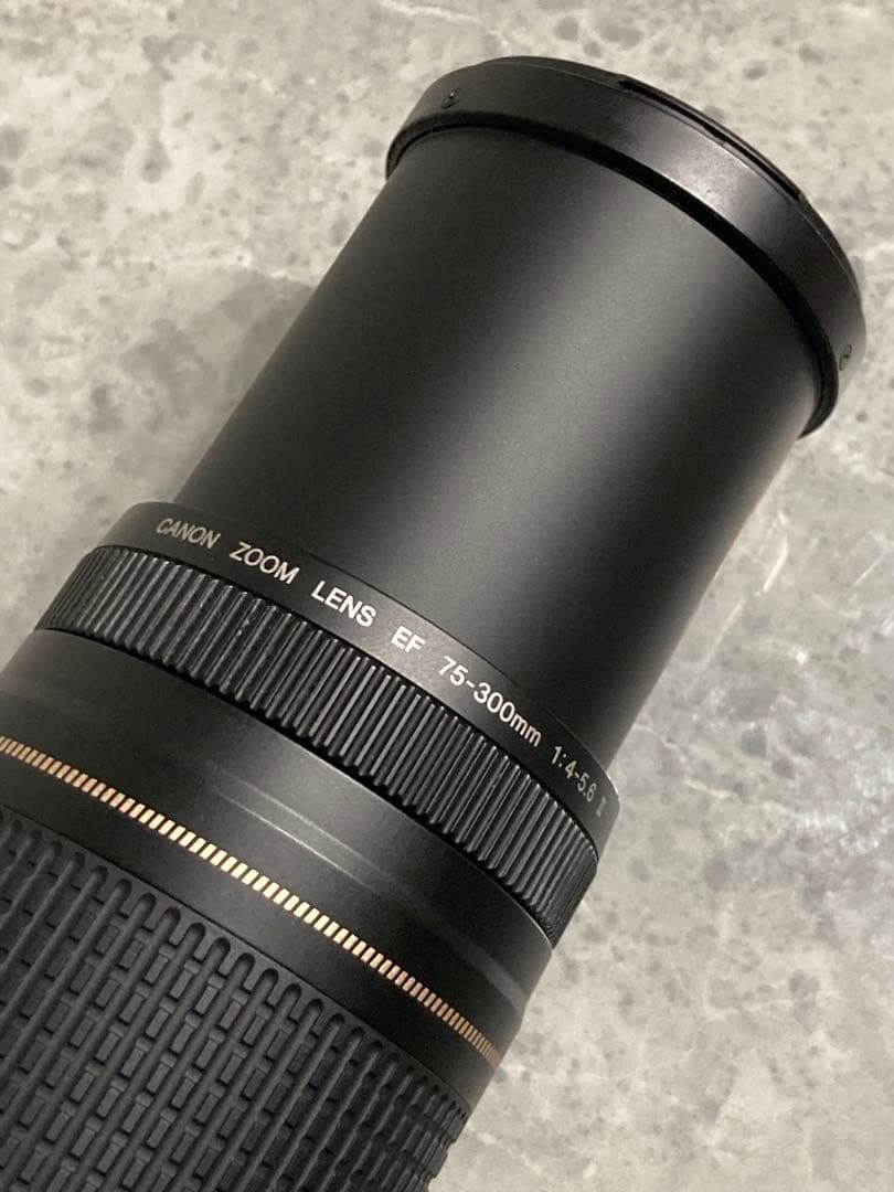 ⭐️完動品⭐️ Canon EF 75-300mm F/4-5.6 II USM