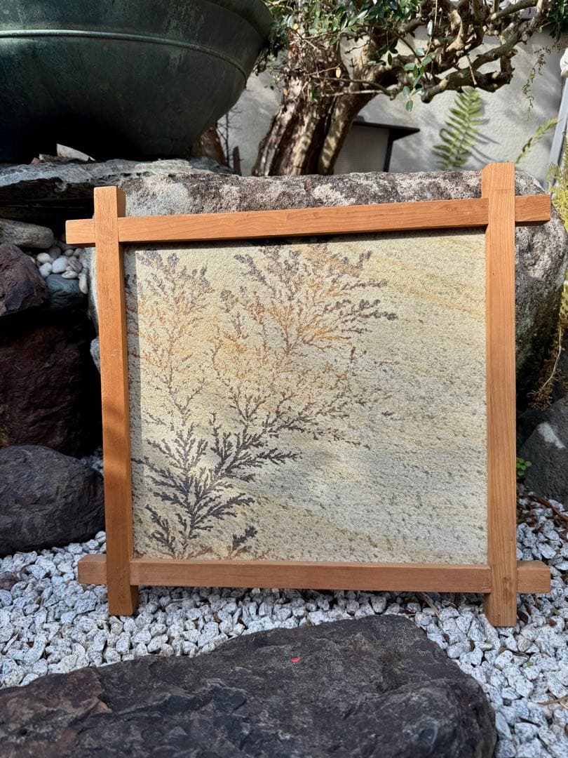 A*s様 美しいデンドライト（dendrite、樹枝状晶）、忍石　アート作品 しのぶ石（dendrite）樹枝状晶⇒樹状突起（神経細胞）: 正多面体クラブ