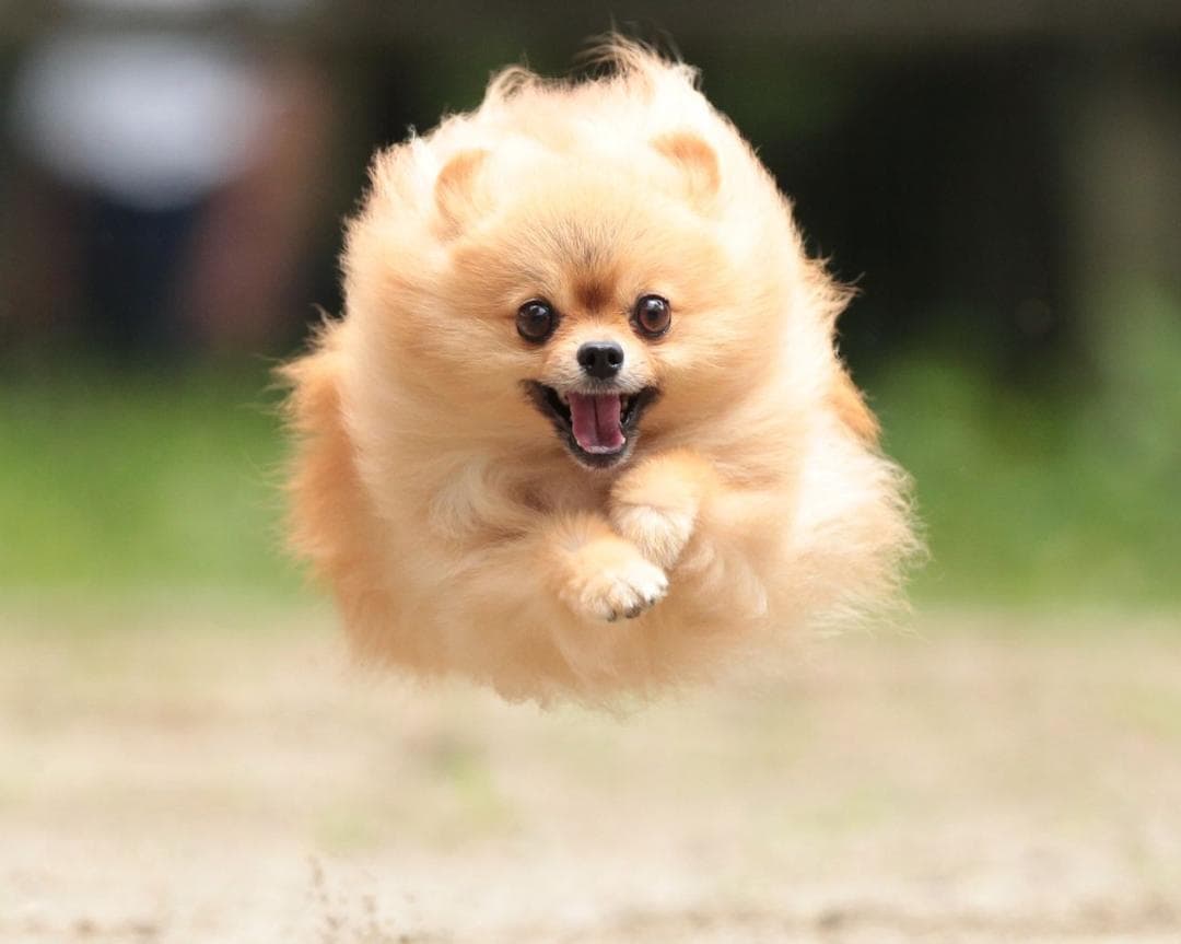 化粧水・ローション・トナー aya 化粧水・ローション・トナー rie.s 化粧水・ローション・トナー sysy