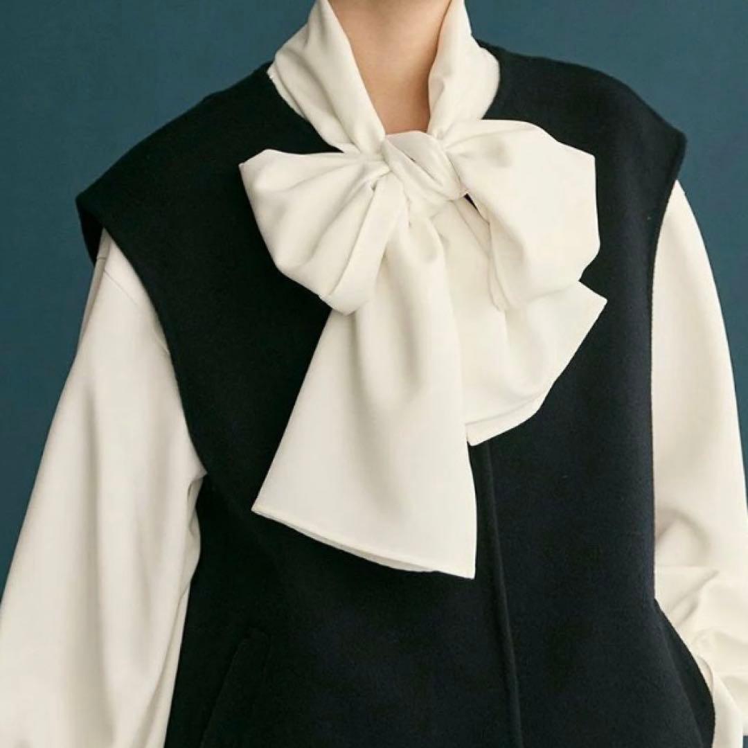 Newans洗濯機可ビックリボンパウダリーブラウス ボウタイ オンワード