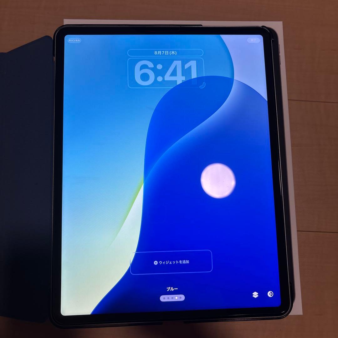 iPad Pro 12.9 (第6世代) 256GB wifi スペー