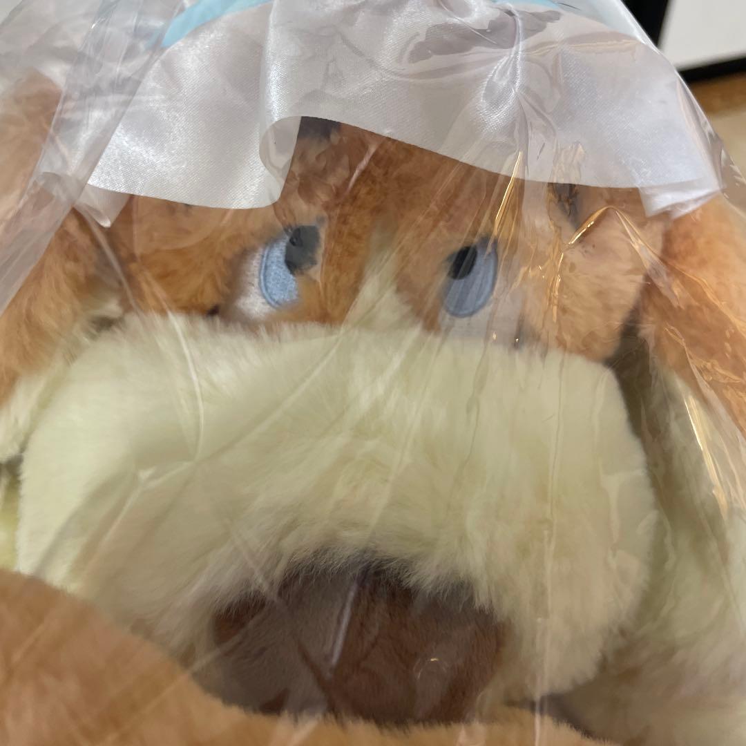 ディズニーストア ピーターパン ナナ 湯たんぽぬいぐるみ - メルカリ