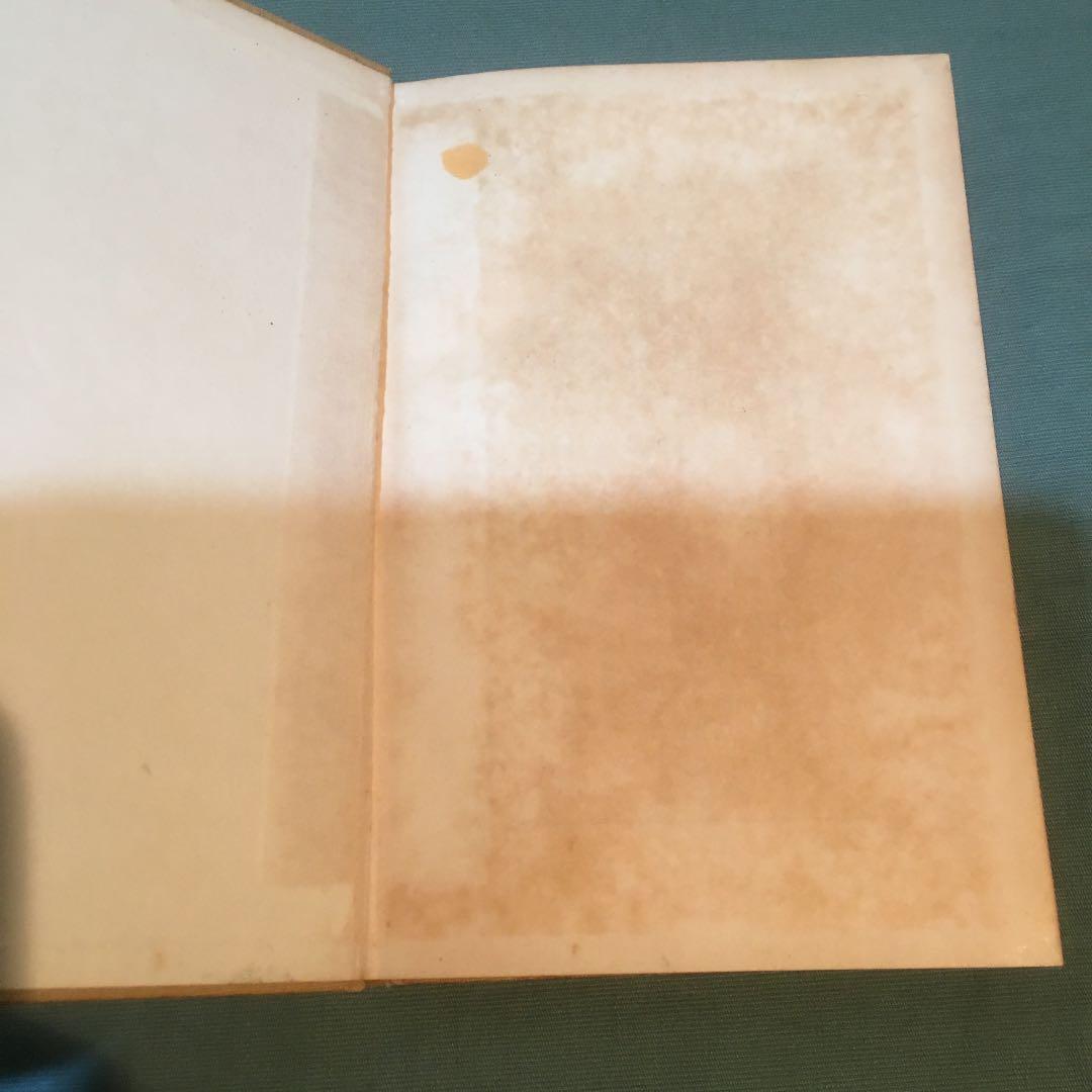 30-漢文入門 写真通りの日焼けとシミが見られます。