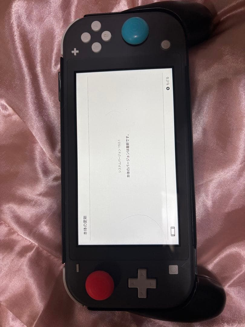 【美品】任天堂Switch ライト➕スプラトゥーン3(バラ売り可) 任天堂（Nintendo） スプラトゥーン3 HAC-P-AV5JA Nintendo Switch