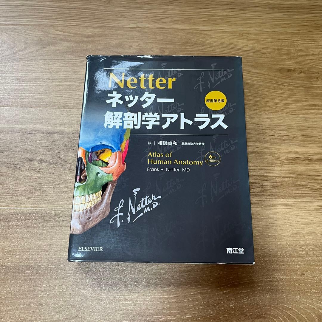 Netter ネッター解剖学アトラス 原書第6版南江堂 医師 理学療法士 医療