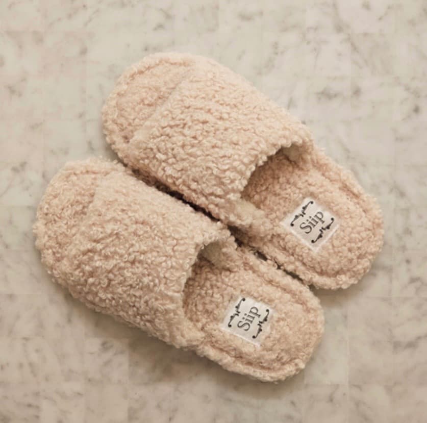 Siip ガイア【完全生産限定盤】 新品未開封