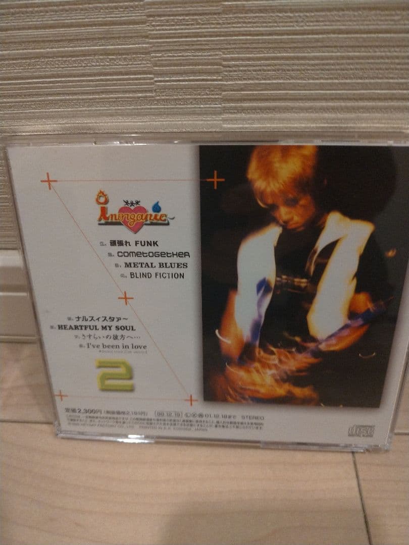 成田昭次 インオーガニック / INORGANIC 2 [CD]