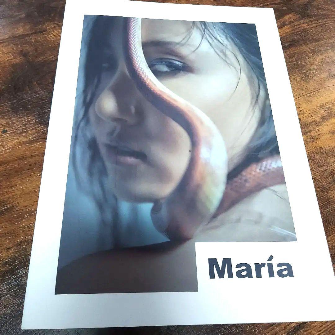 Maria Hwa Sa 写真集 MAMAMOO 화사 (ファサ) - メルカリ