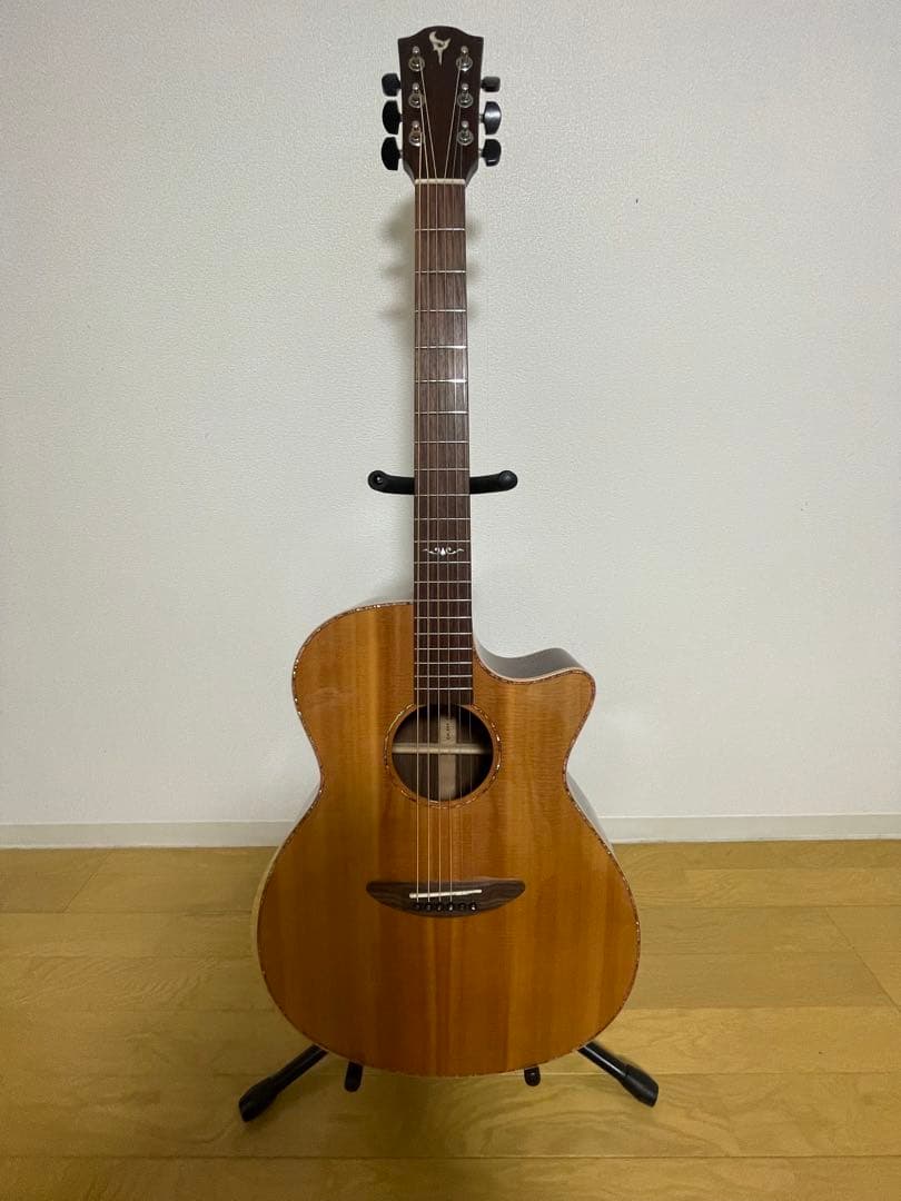 エレアコギター DCT GR742CE