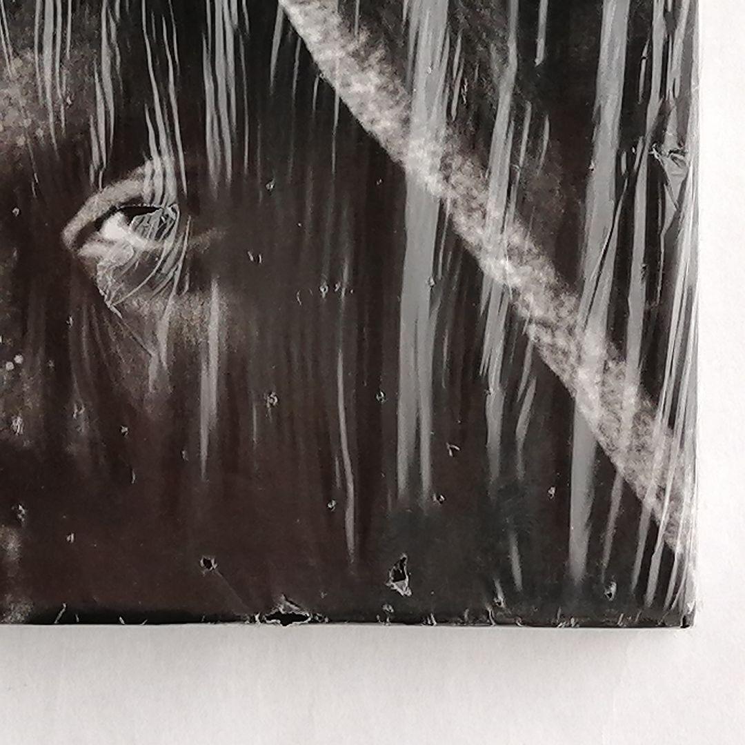 シュリンク包装ブルース・ギルデン写真集ハイチHAITI - メルカリ