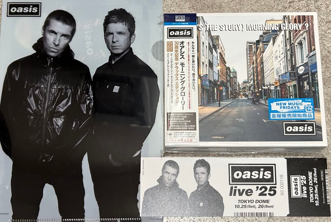 oasis シリアルナンバー入りメモリアルチケットアンドクリアファイル oasislive25 東京ドーム会場では対象のCD/レコード購入者に先着で