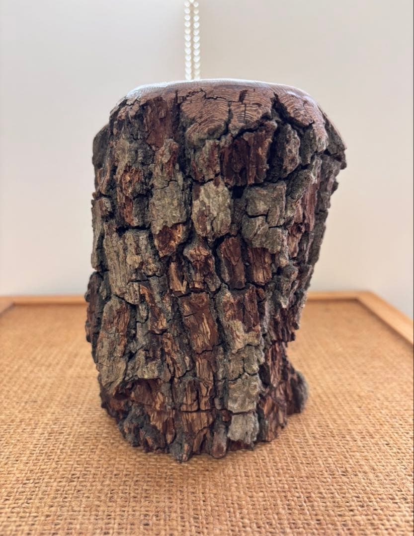 三本木 森兵衛☆希少『新品•入手困難』A+Ωクラフトウッド(クワリウム