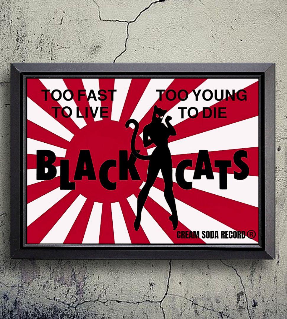 ブラックキャッツ【A4サイズ写真ポスターフレーム付き2点セット