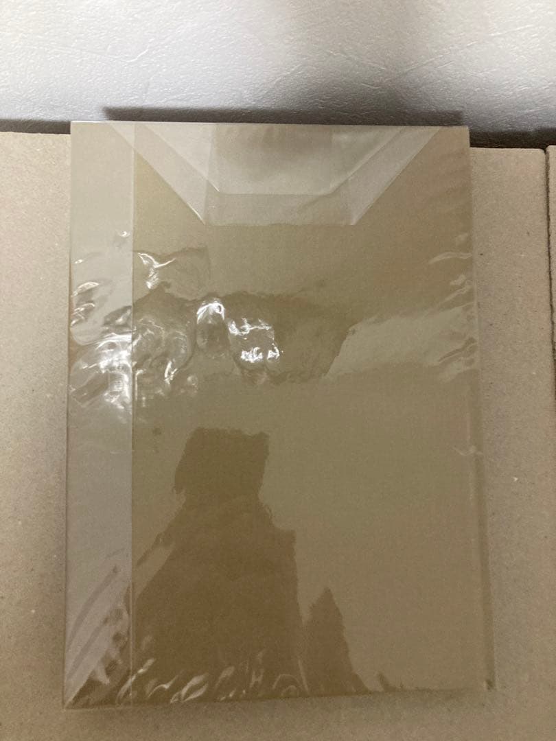 新品未読 サイン入 中村萌 before the dawn 作品集 限定品