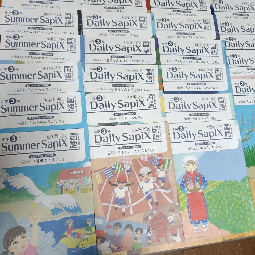 SAPIX国語3年】デイリーサピックス全17回& サマーサピックス 全8回