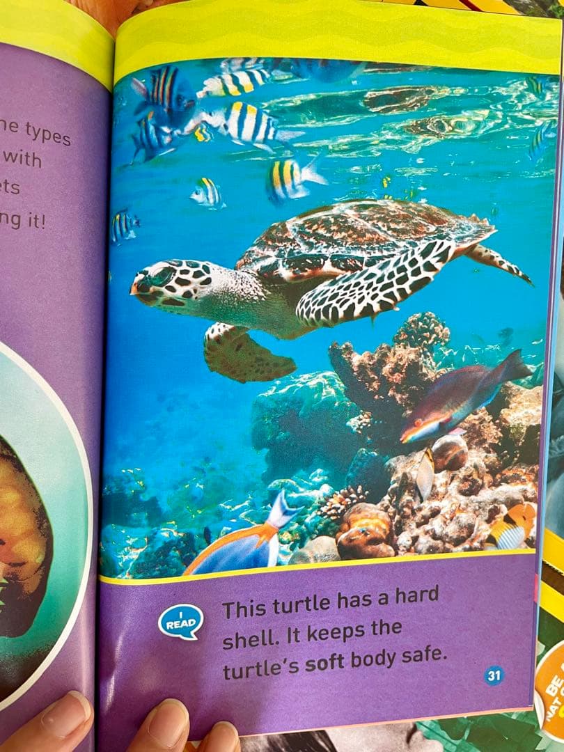 National Geographic Kids L1-3英語絵本125冊セット - メルカリ