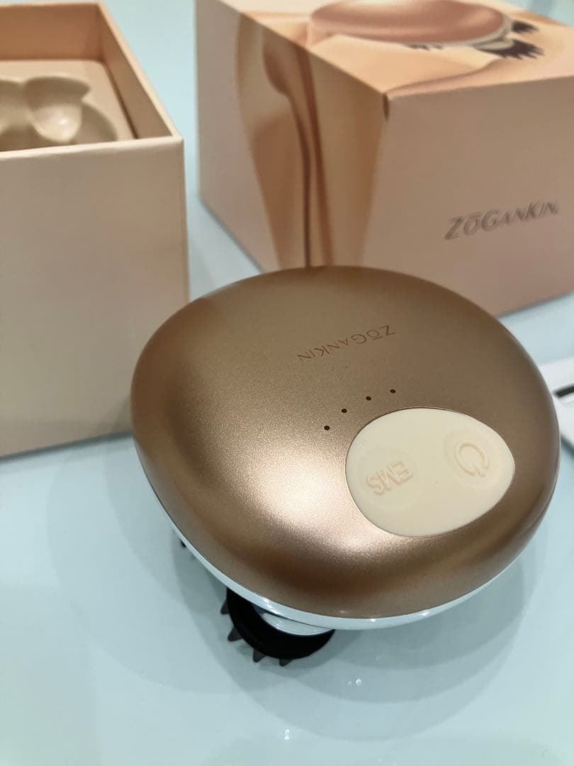 ゾーガンキン　スカルプ ZOGANKIN SCALP(ゾーガンキンスカルプ) | 加齢によるたるみやシワを