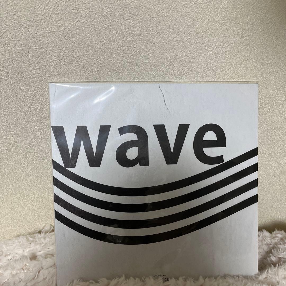 カネコアヤノ 野音ライブ レコード アナログ