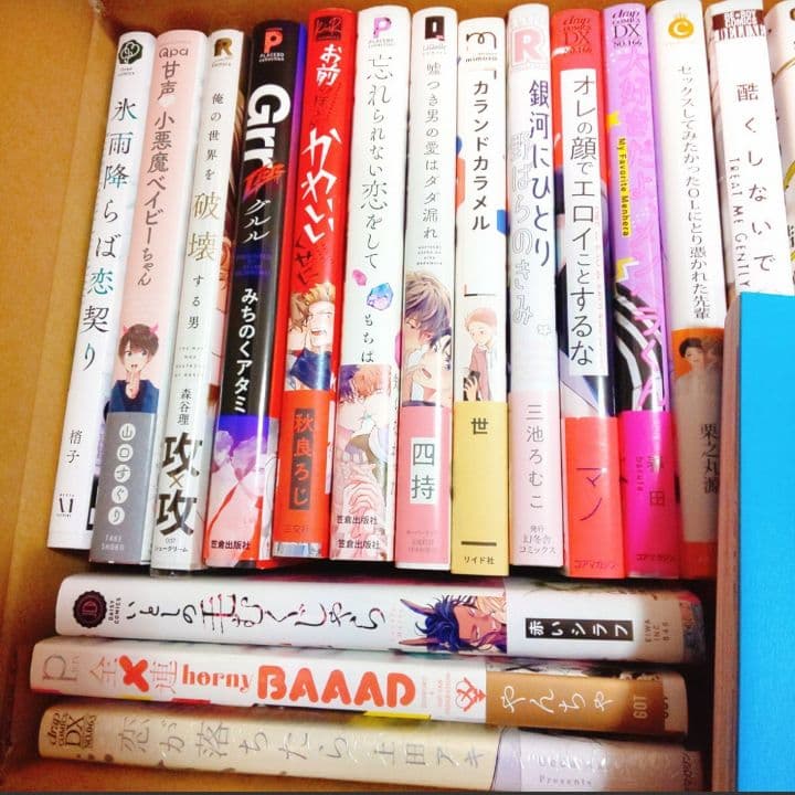 人気作まとめうり23冊■新品未読品■ほぼ初版■ BLコミック 漫画 ビーエル