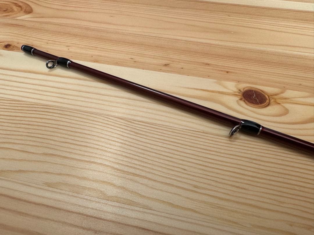 Fishman Beams blancsierra 4.8UL フィッシュマン