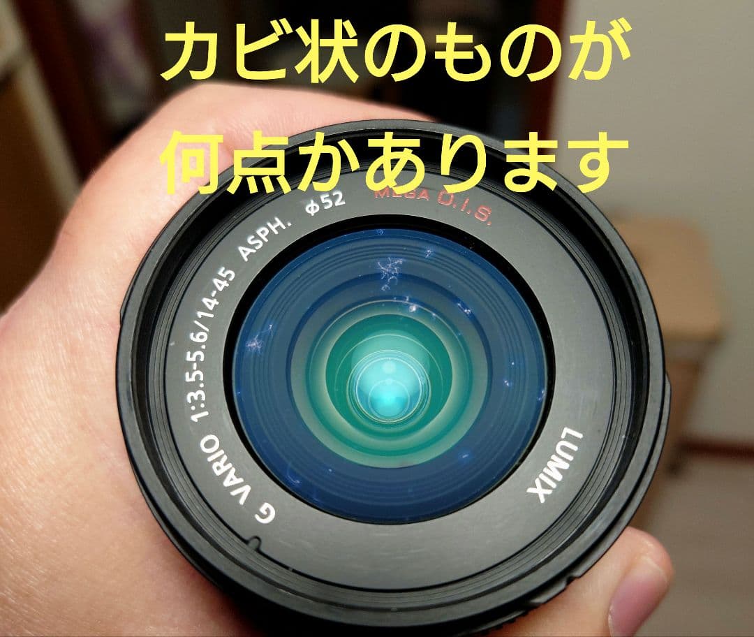 レンズ(ズーム) Panasonic 14-45mm F3.5-5.6(H-FS14045)