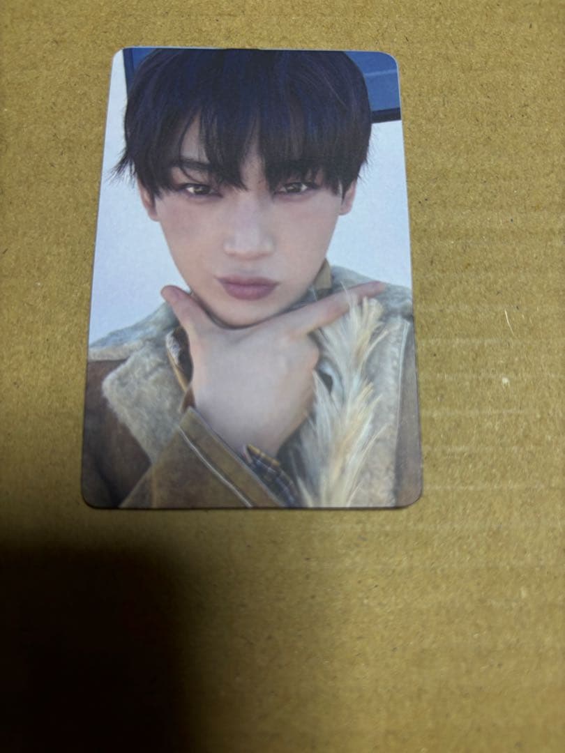 ENHYPEN THE SIN VANISH ユニバ ラキドロ ソヌ - メルカリ