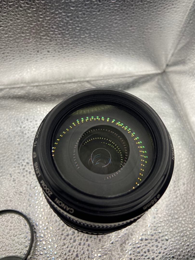 週末値引中！Canon EF 75-300mm f/4-5.6 IS USM