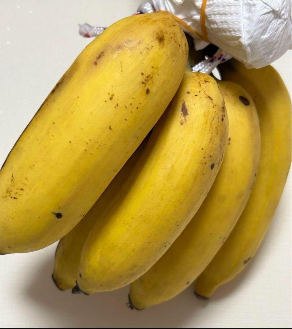 篠塚昭雄さま。5苗セット◆幻の、ゴールデンブラジル◆甘いです。耐寒強く栽培容易