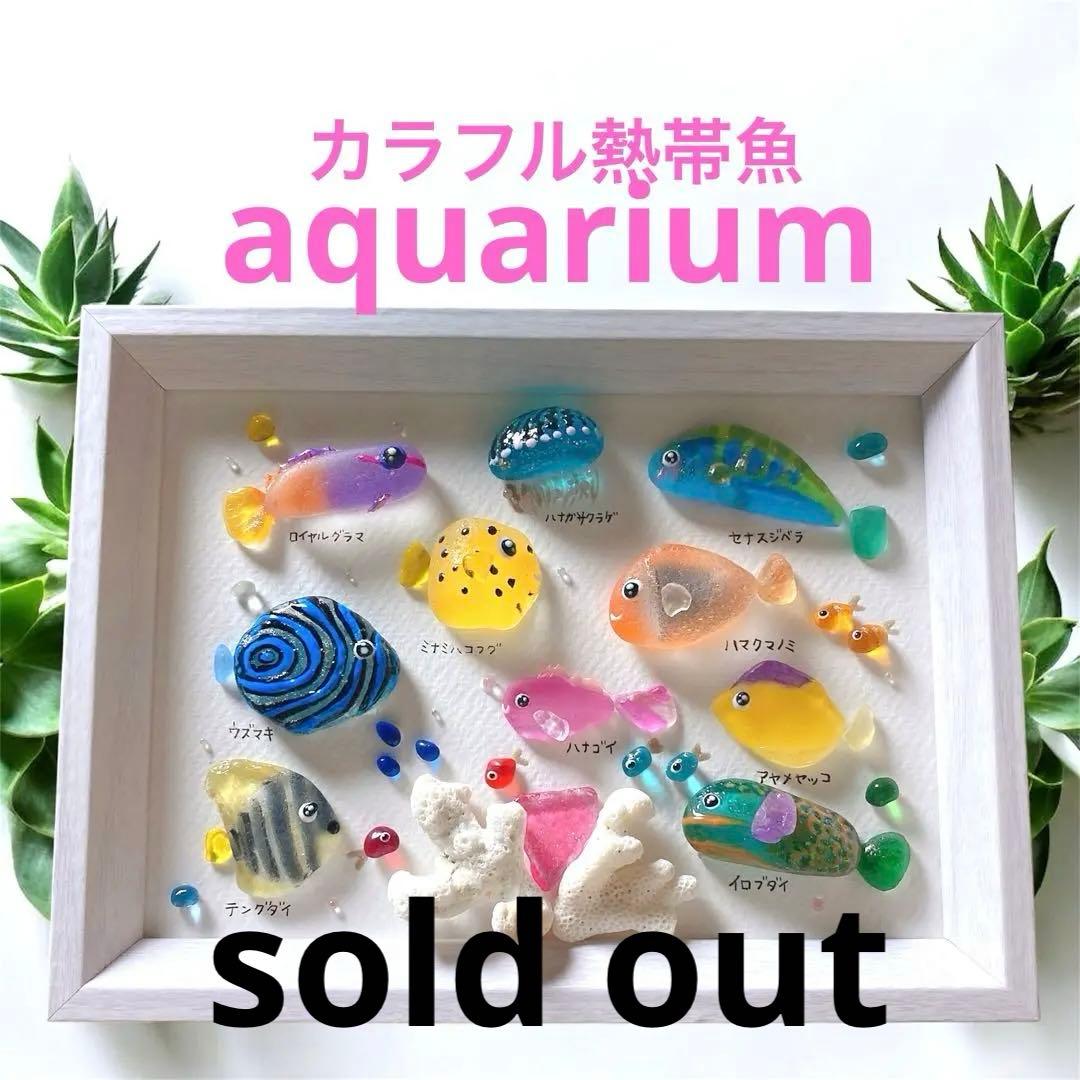 シーグラスアート☆No.370 図鑑 海の生き物 父の日 ギフト プレゼント