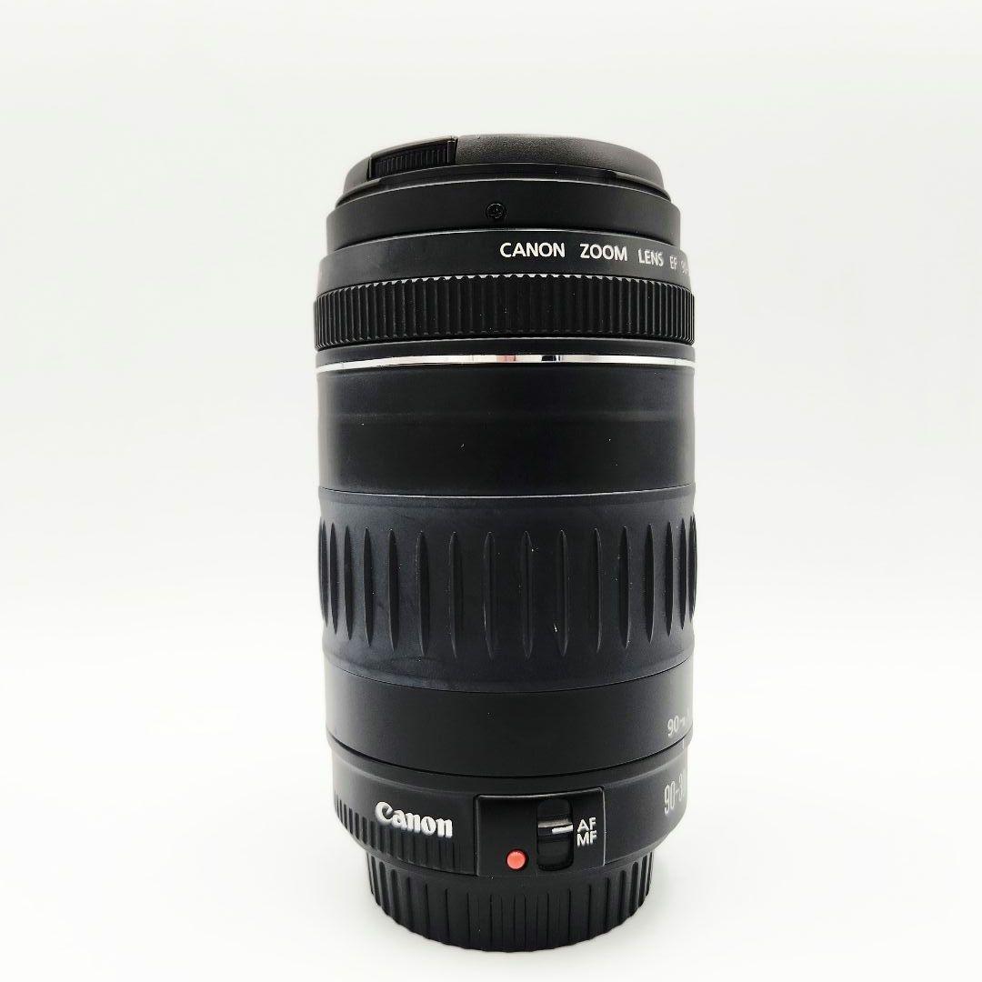 Canon EF 90-300mm f/4.5-5.6 ズームレンズ