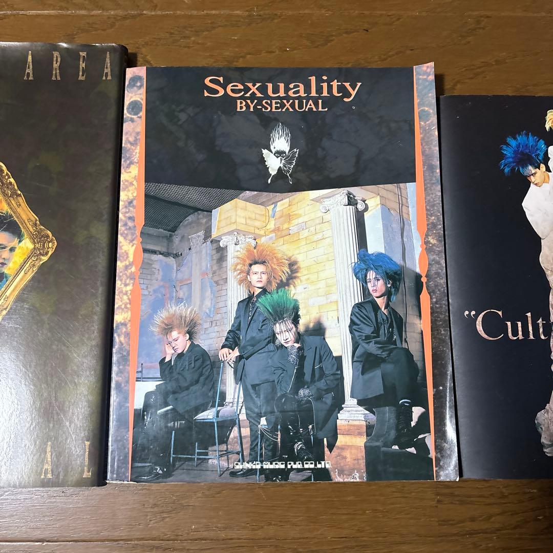 BY-SEXUAL Sexuality バイセクシャル バンドスコア 写真集