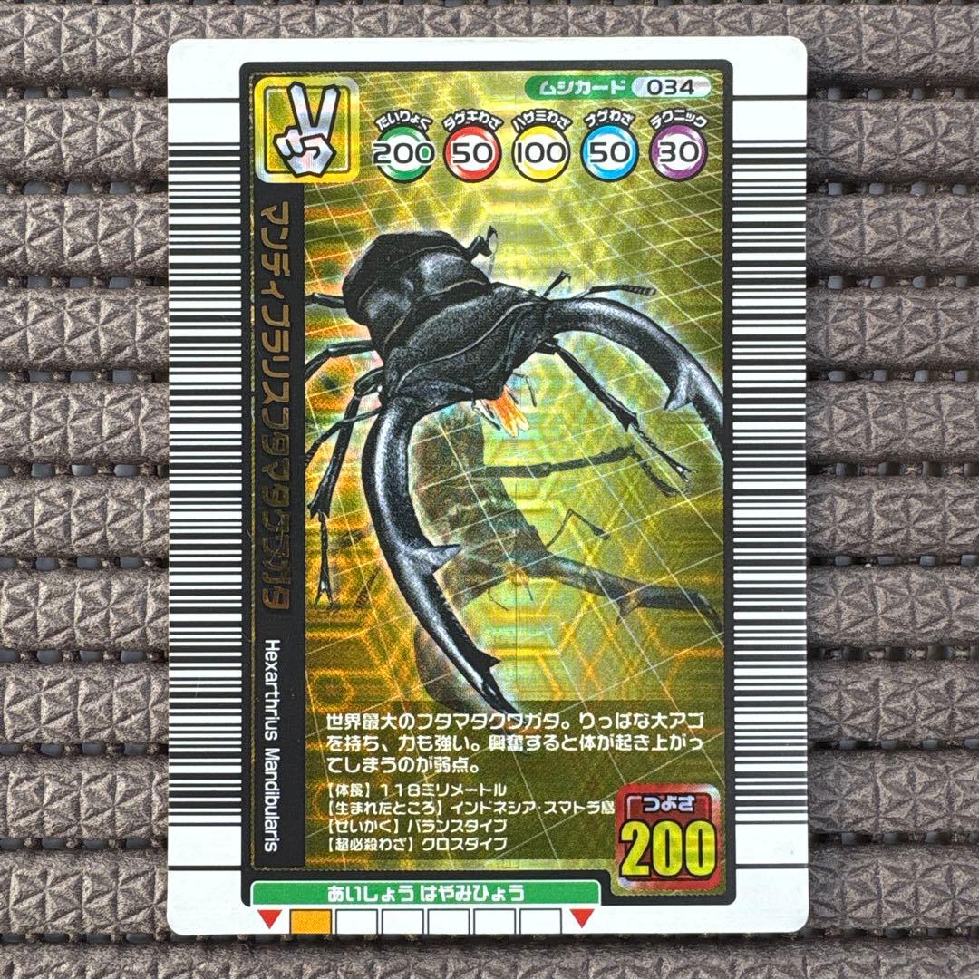 希少 マンディブラリスフタマタクワガタ 1億枚突破記念限定デザイン