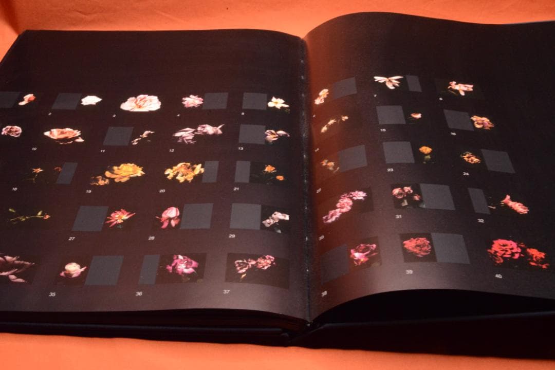 VISIONAIRE 40：DAVID SIMS ROSES　★★値下げしました