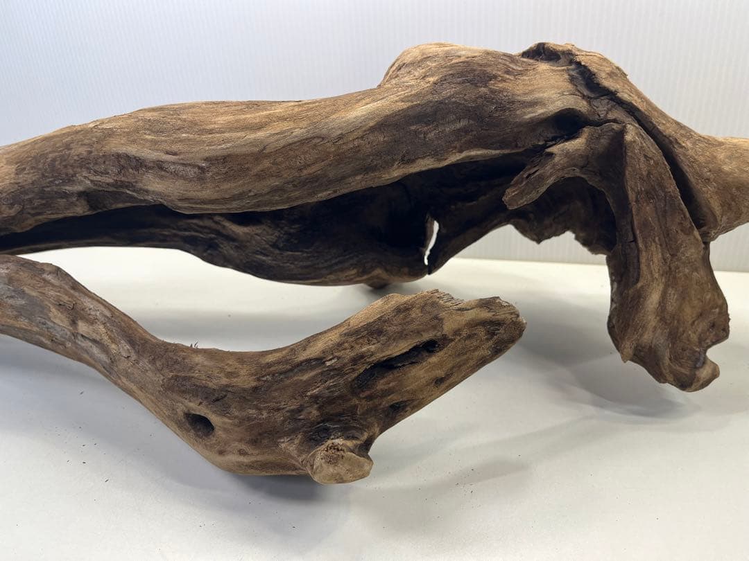 R71特大流木 アク抜き済み流木 爬虫類シェルター 登り木 インテリア 生け花