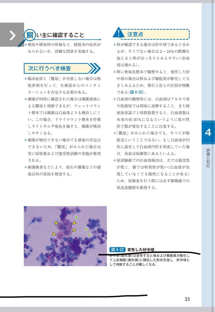 新刊 サッとわかる犬と猫の尿・糞便検査 獣医師愛玩動物看護師のための