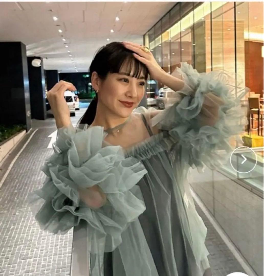 andresd デコラティブチュールトップ デコラティブチュールトップス / decorative tulle tops（ドレス