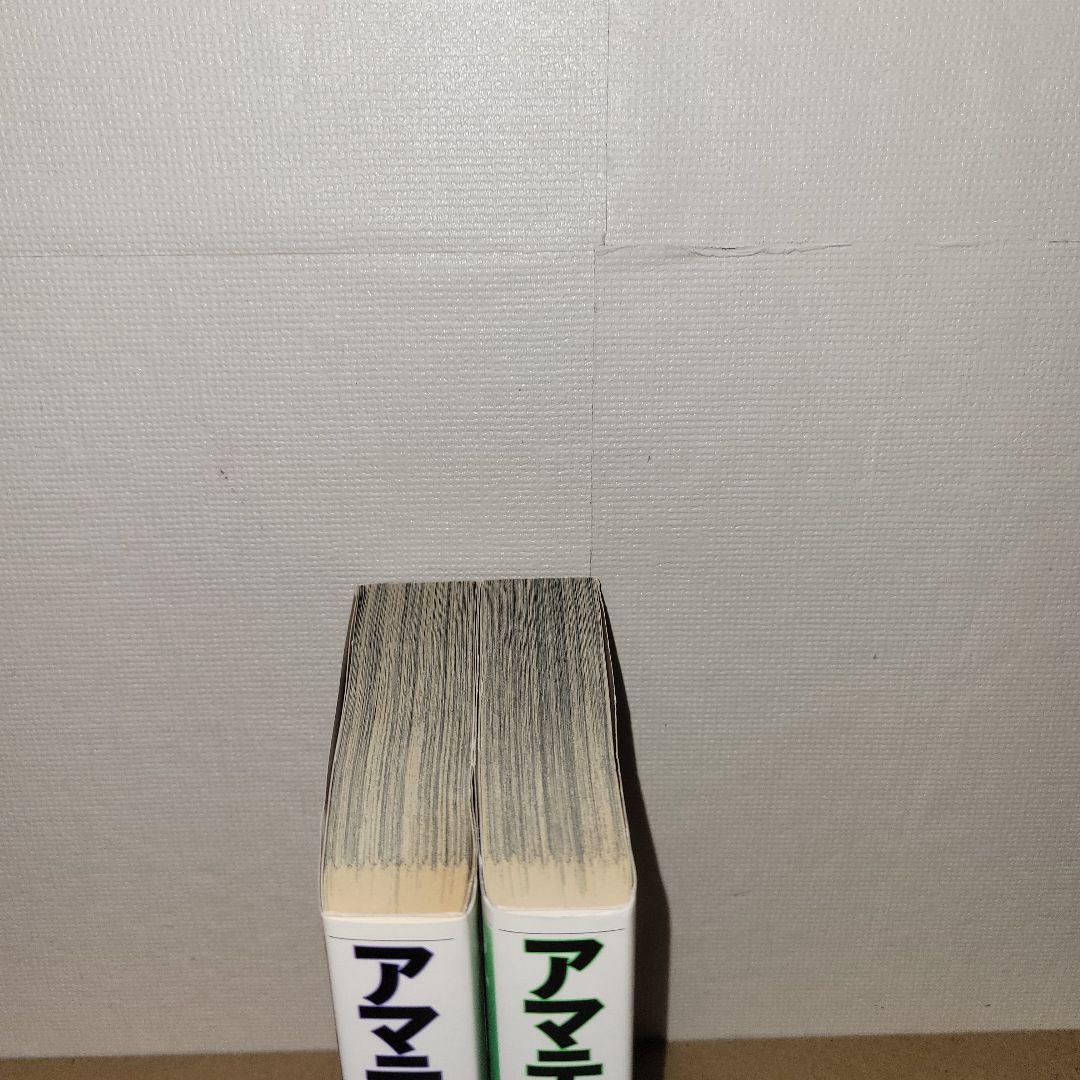 アマテラス ワイド版 全2巻 初版発行 - メルカリ