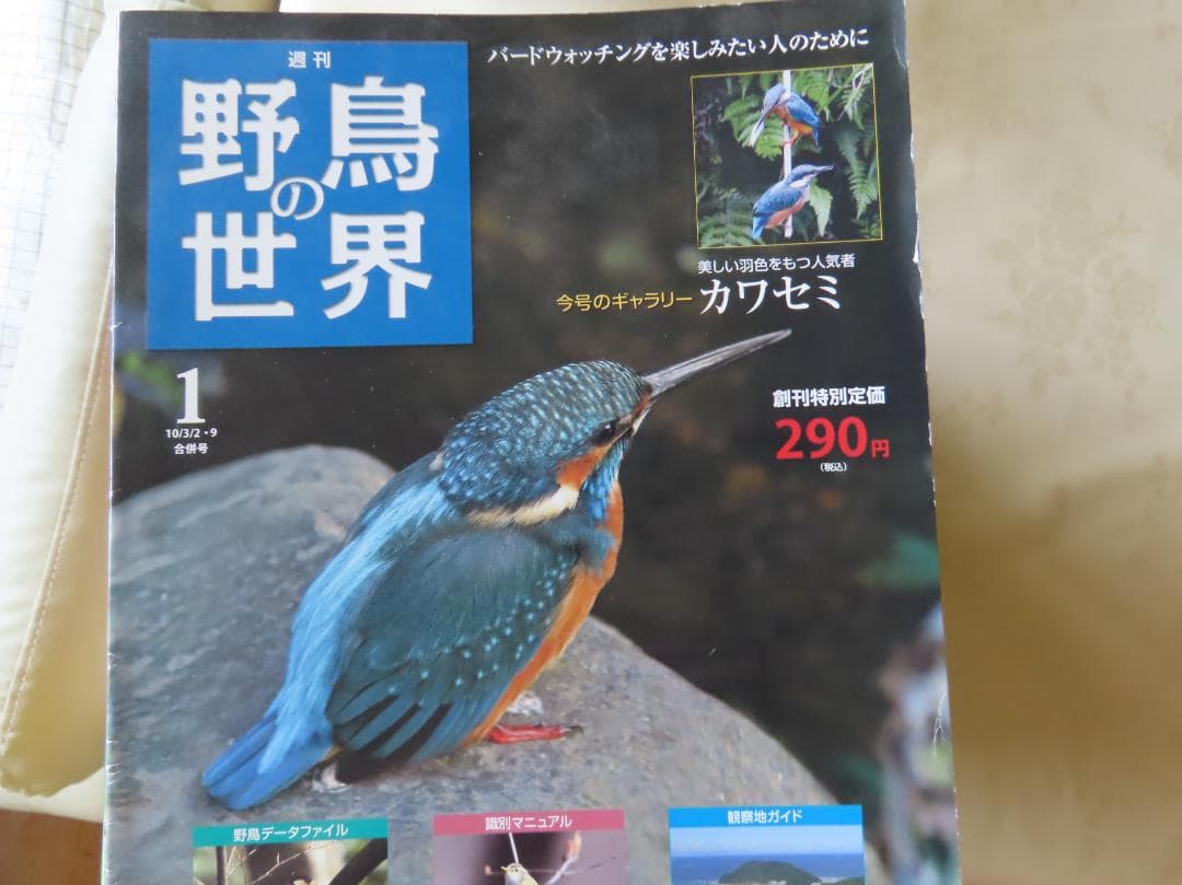 週刊野鳥の世界全121巻揃い　ティアゴスティニ発行　定価70180円 美品 週刊野鳥の世界全121巻揃い ティアゴスティニ発行 定価70180円 美品