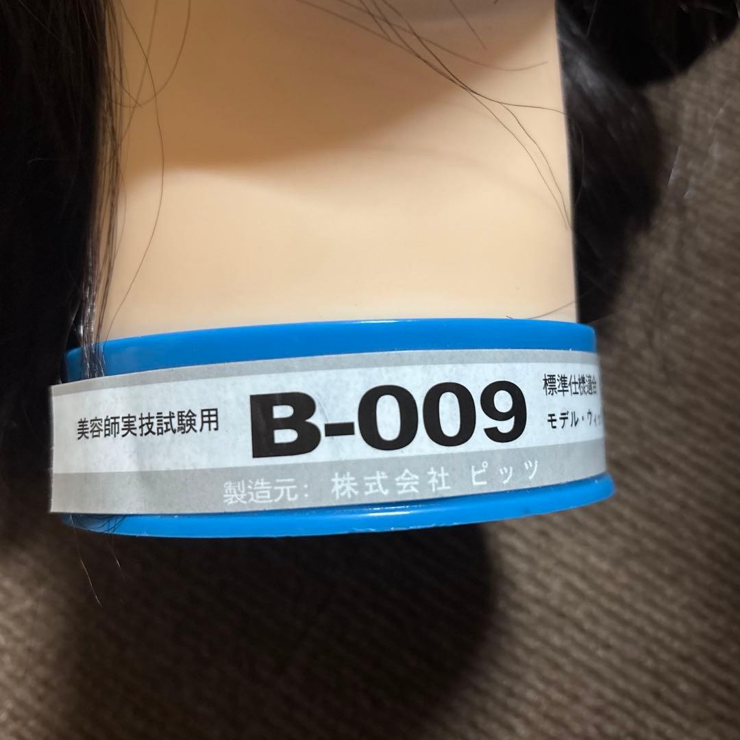 美容師実技試験用 カットマネキン モデルウィッグ 5体セット