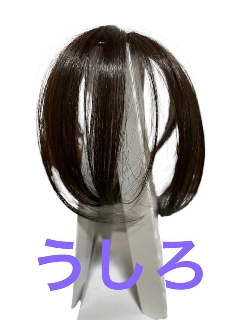 ペスカ ヘアーメイト チャチャ ショート ダークブラウン 試着のみ 箱