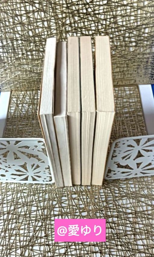 皇室献呈書✨非売品✨美品♢渡邊大起『オイカイワタチ』全5巻揃え⭐祝