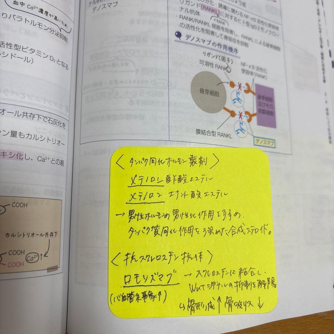 薬ゼミ 要点集 9冊セット - メルカリ