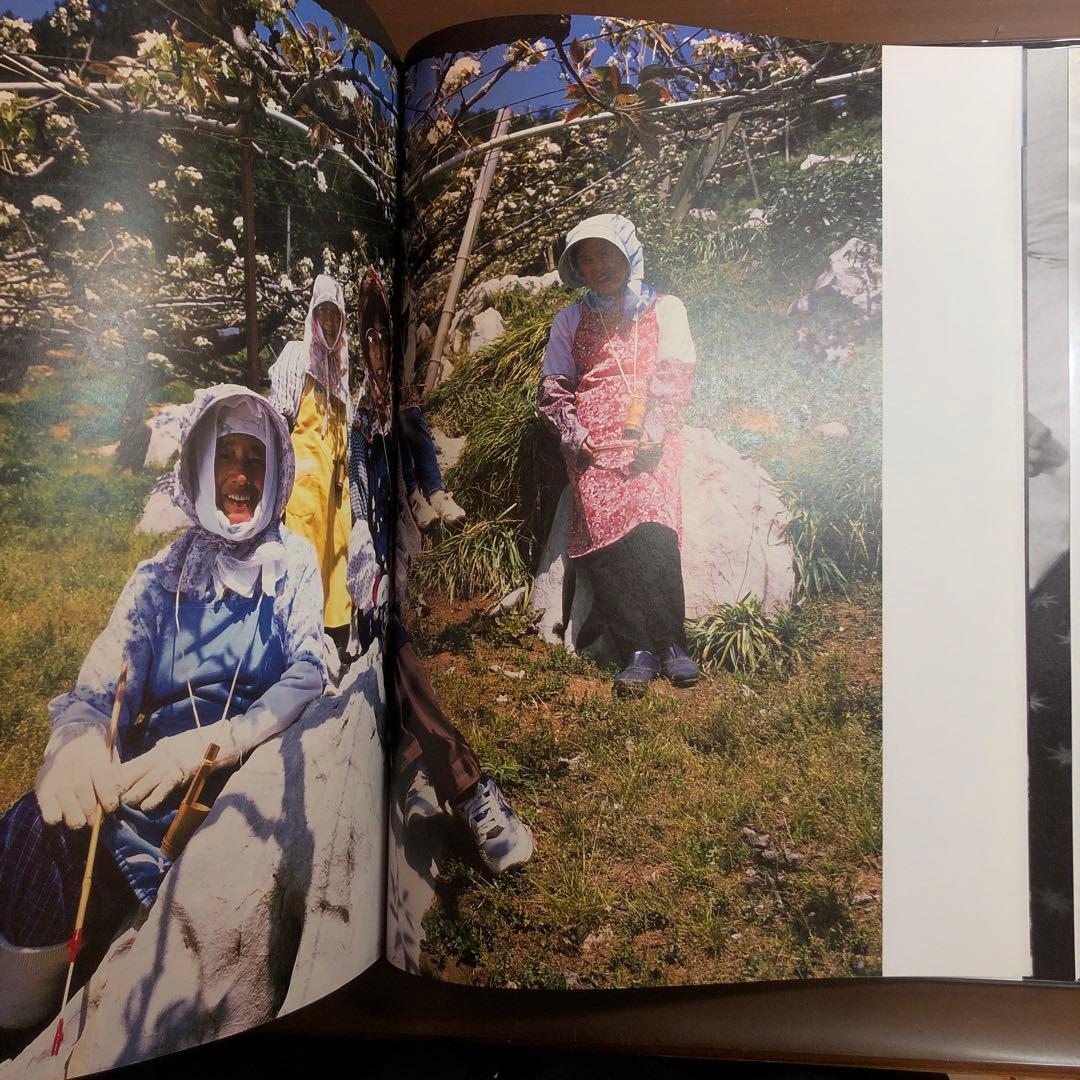 荒木経惟 (Portfolio)／Nobuyoshi Araki Stern - メルカリ