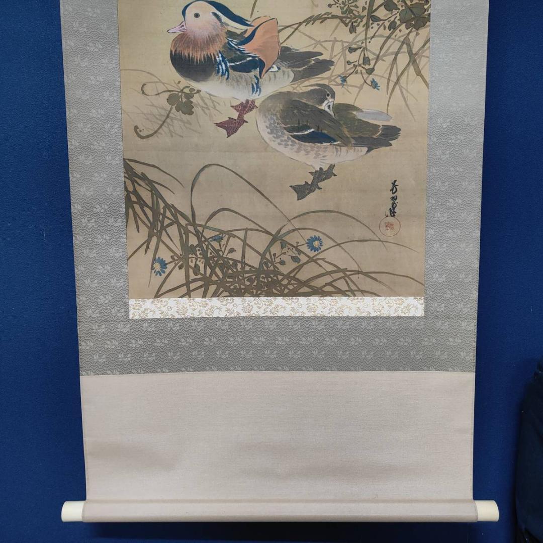 真作/芳翠/秋草鴛鴦図/オシドリ/花鳥/布袋屋掛軸A-519 - メルカリ