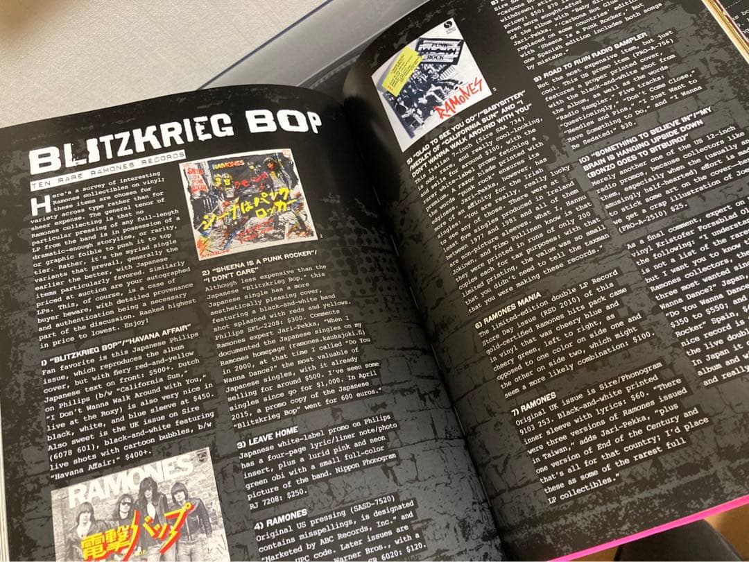 RAMOMES AT 40 ラモーンズ写真集