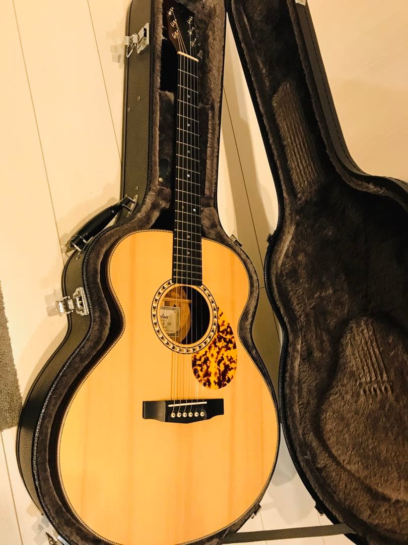 ようへい様ケース付き送料込値下げ！珍しいスロバキヤDOWINA